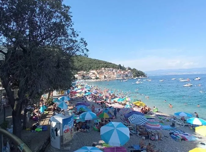 Lorinda Moscenicka Draga